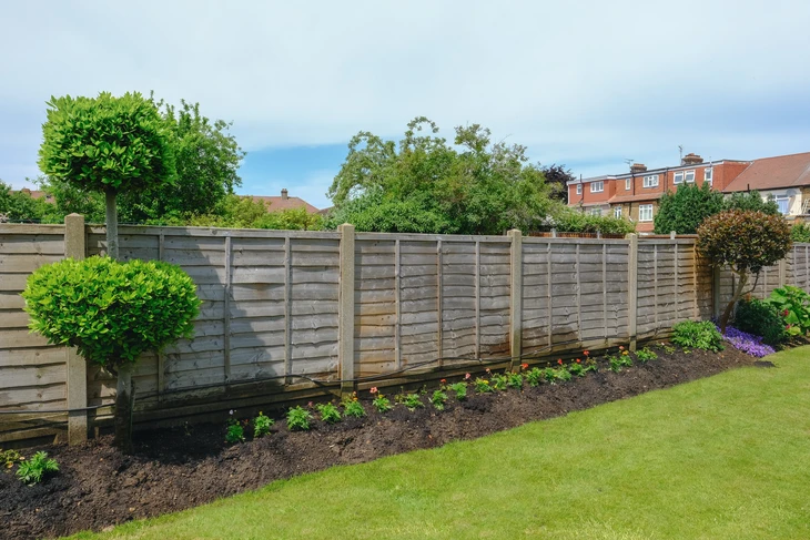 Jardin résidentiel avec clôture en bois horizontale neuve, bordure de plantation fraîchement aménagée avec arbustes taillés en boule, massifs floraux et paillis
