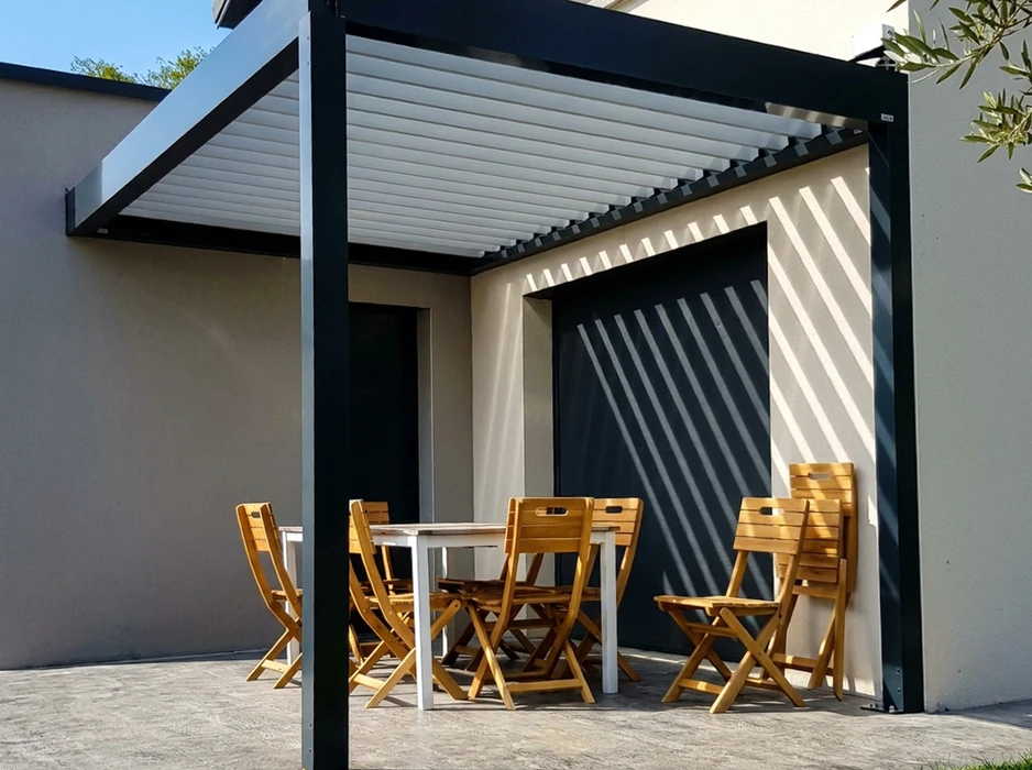Vue en contre-plongée d'une pergola en bois avec treillis, envahie par une végétation luxuriante de plantes grimpantes aux feuilles vertes